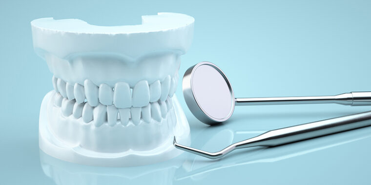 白い歯の模型と歯科用器具の写真