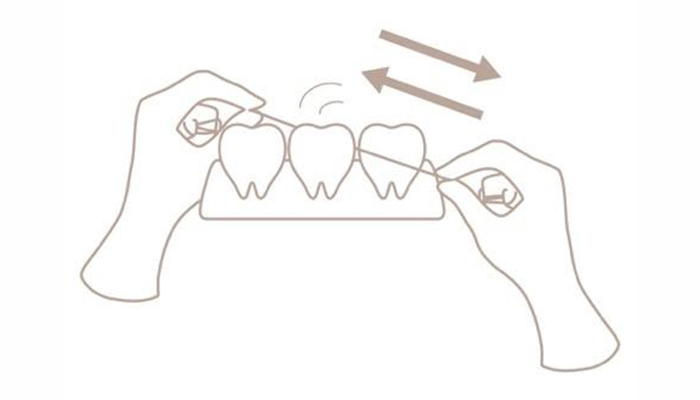 歯と歯の間に糸のみのデンタルフロスを通すイメージイラスト