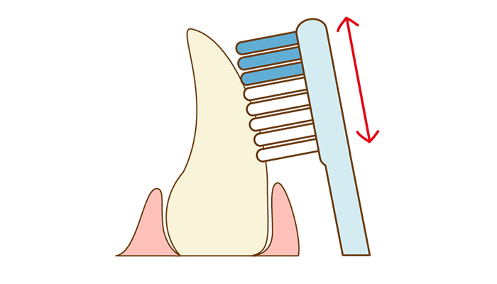 1本ずつ歯を歯ブラシで磨くイメージイラスト